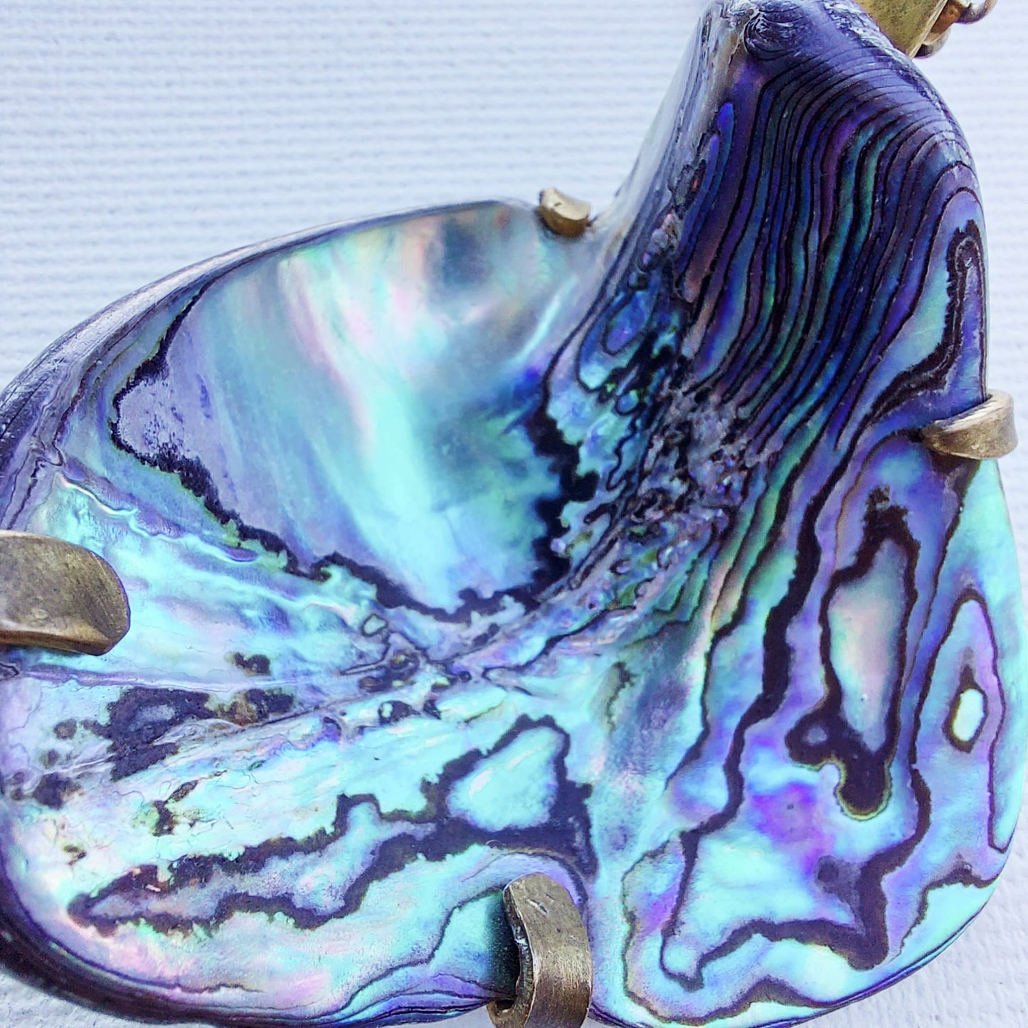 Madreperla Abalone Nuova Zelanda Ciondolo Medio in Ottone Etico