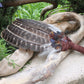 Ventaglio Sciamanico
