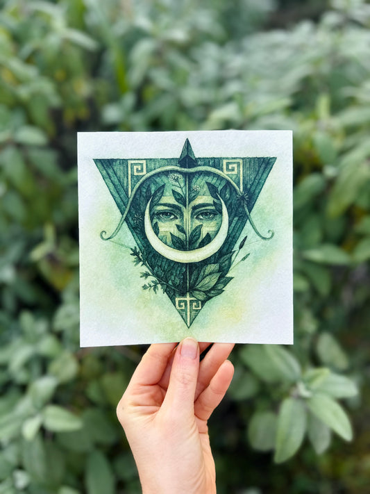 Artemis - Stampa su Cartoncino