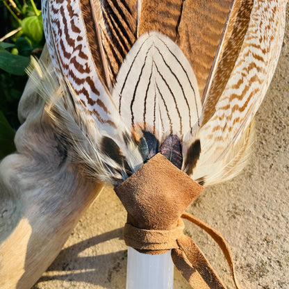 Selenite Prayer Fan - Feminine Energy Sky
