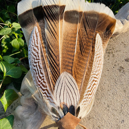 Selenite Prayer Fan - Feminine Energy Sky