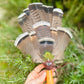 Shamanic Prayer Fan - Ventaglio Sciamanico Calcite Gialla - 3 Chakra