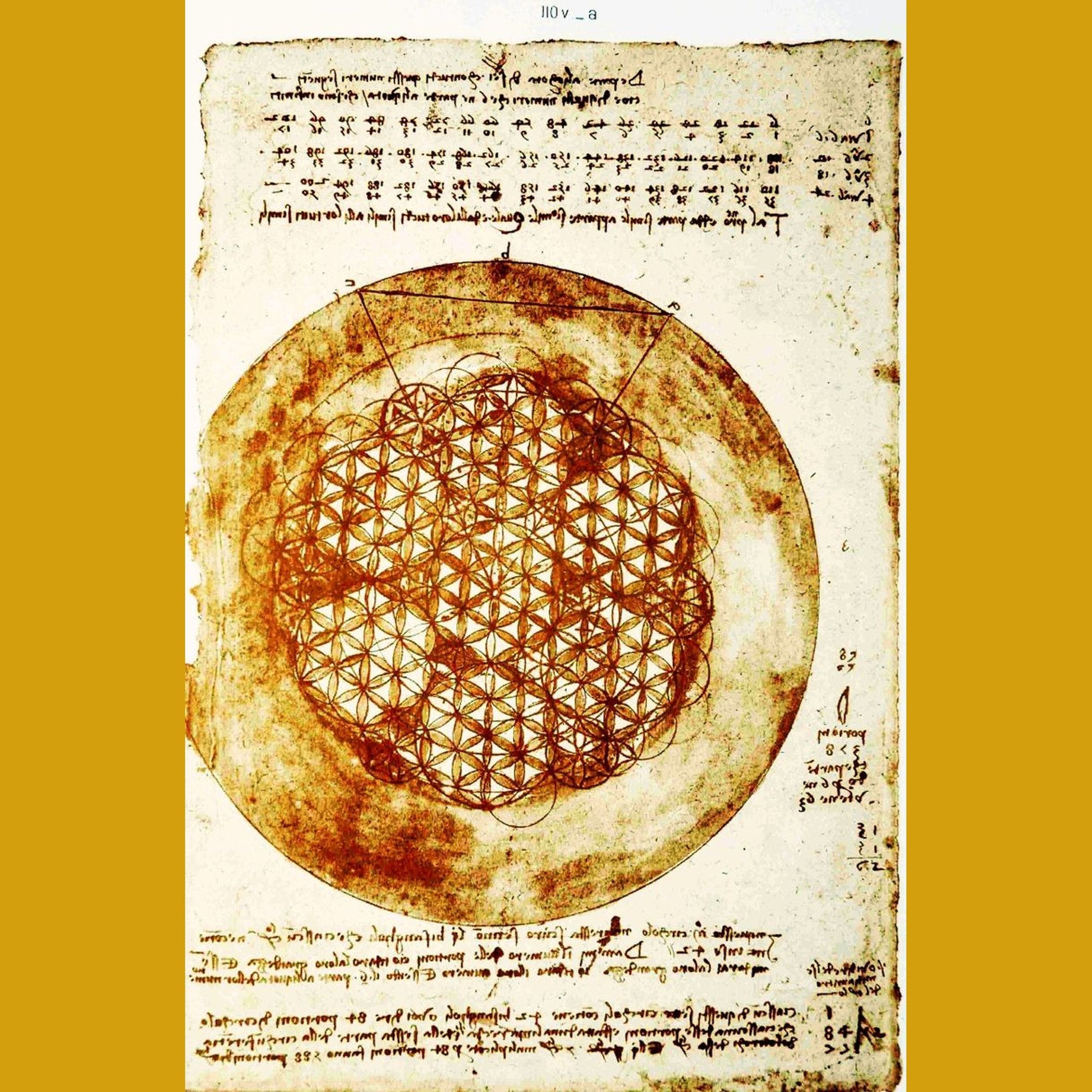stella di davide con fiore della va. simbolo della geometria sacra. 8344318 Arte vettoriale a Vecteezy stella di davide con fiore della va. simbolo della geometria sacra. 8344318 Arte vettoriale a Vecteezy